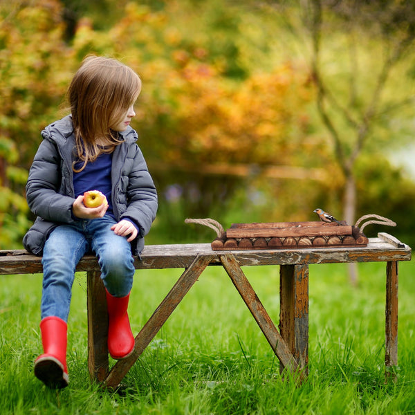Table d'alimentation en bois pour oiseaux de jardin