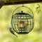 CJ Wildlife London Pindakaaspothouder