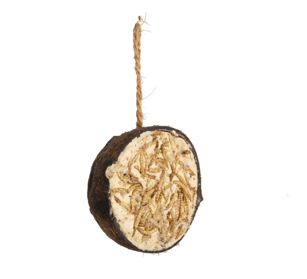 Protection des oiseaux Noix de coco aux vers de farine