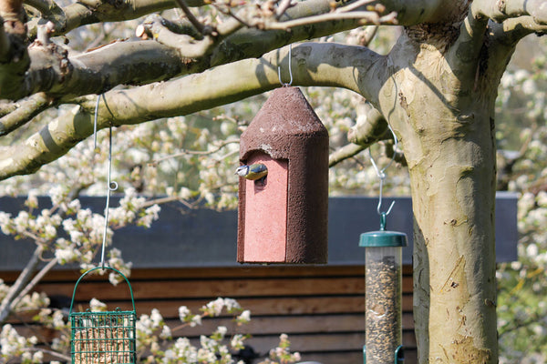 Vrijhangende mezenkast 2M rood van houtbeton – kat- en marterbestendig – foto 5