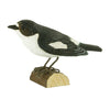 DecoBird - Moucherolle pie
