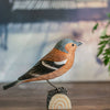 Vogelbeeldje Vink – Handgesneden Houten Decoratievogel | DecoBird Wildlife Garden