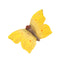 DecoButterfly - Papillon Citron