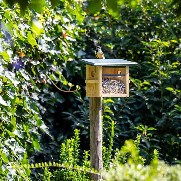 Wandvoederhuis Tilburg – Compact vogelvoederhuis voor kleine tuinvogels