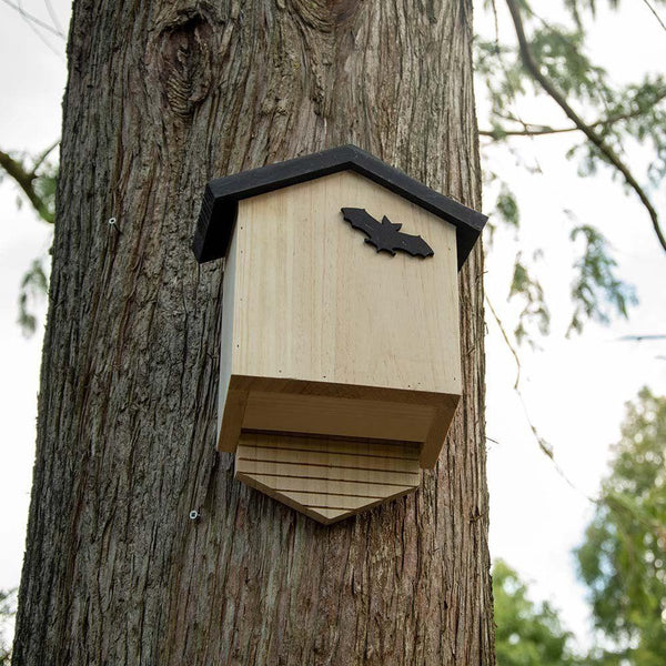 Boîte à chauves-souris CJ Arundel