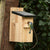 Pimpelmees Nestkast Herning Zwart Dak 28mm | Vogelbescherming
