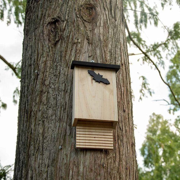 Vleermuizenkast Glamis