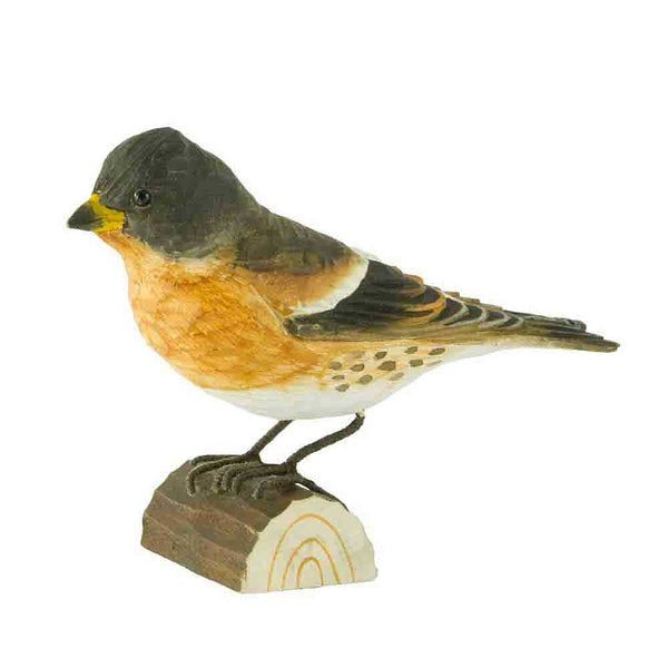 DécoBird - Bergfink