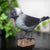 Houten Vogelbeeldje Kauw - Handgesneden Decoratief Vogeltje | DecoBird