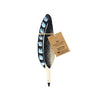 Pen Geai flamand 