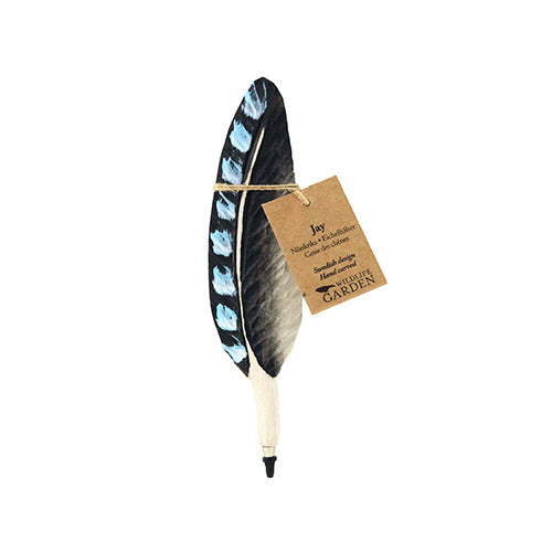 Pen Geai flamand 