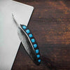 Pen Geai flamand 