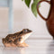 DecoBird - grenouille des landes