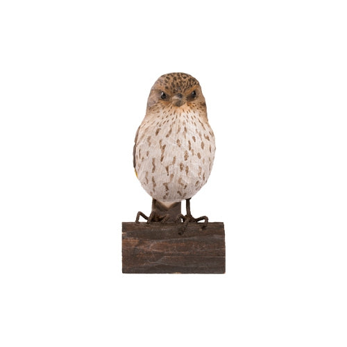 DecoBird - Tarin des pins