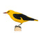 DecoBird Oriole