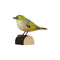 DecoBird Zilveroog