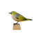 DecoBird Zilveroog