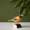 DécoBird Oriole de Baltimore