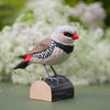 DecoBird Diamond Firetail