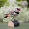 DecoBird Diamond Firetail