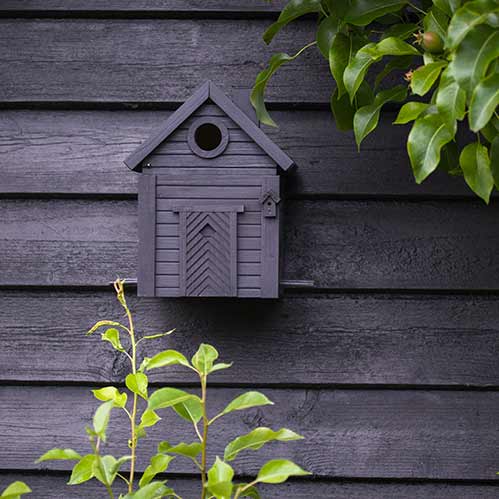 Vogelhuisje Carbonzwart 2-in-1 Multiholk | Wildlife Garden