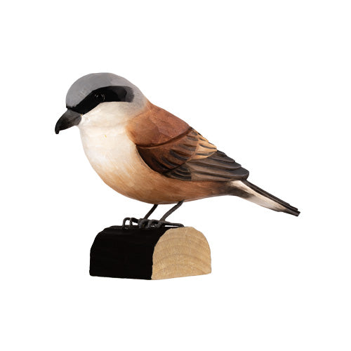 DecoBird - Pie-grièche grise