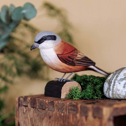 DecoBird - Pie-grièche grise