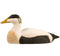 DecoBird - Oie Eider