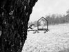 Birdwise - Maison de nourriture pour oiseaux
