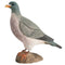 DecoBird - Pigeon ramier