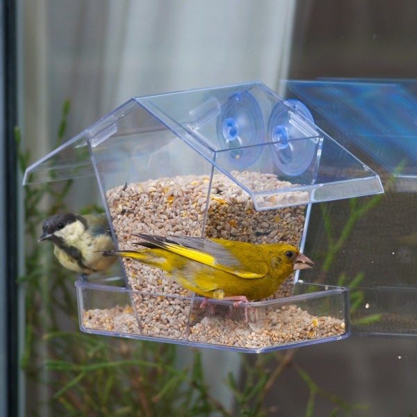 Raamvoederhuis Kreta – Transparant Vogelvoederhuisje met Zuignappen | CJ Wildlife