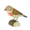 DecoBird - Kneu