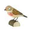 DecoBird - Linotte