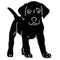 Silhouet staande puppie