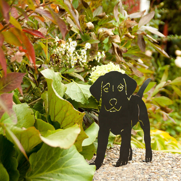 Chiot debout silhouette