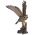hibou moyen-duc volant