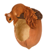 Gamelle Gland