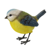 mésange bleue