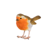 Rouge-gorge