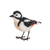 Pic épeiche