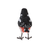 Pic épeiche