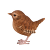 Troglodyte mignon