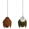 Oiseau pendentif beurre de cacahuète
