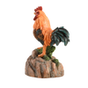 salutation coq