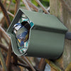 SingingFriend - Porte-pot de beurre de cacahuète Evie - Vert sauvage