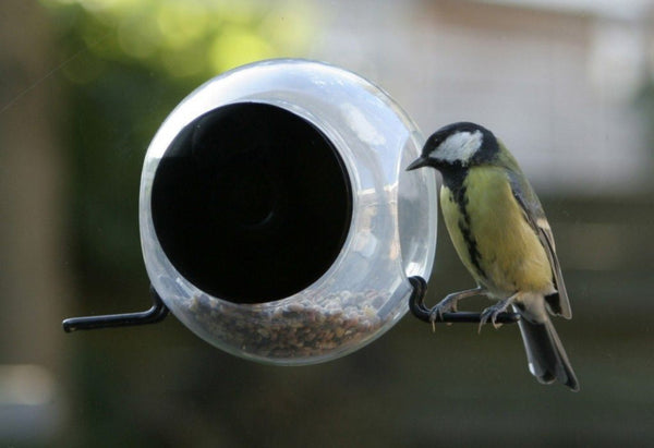 Mangeoire pour fenêtre BirdFeeder – Mangeoire pour fenêtre transparente (15 x 10 x 15 cm)