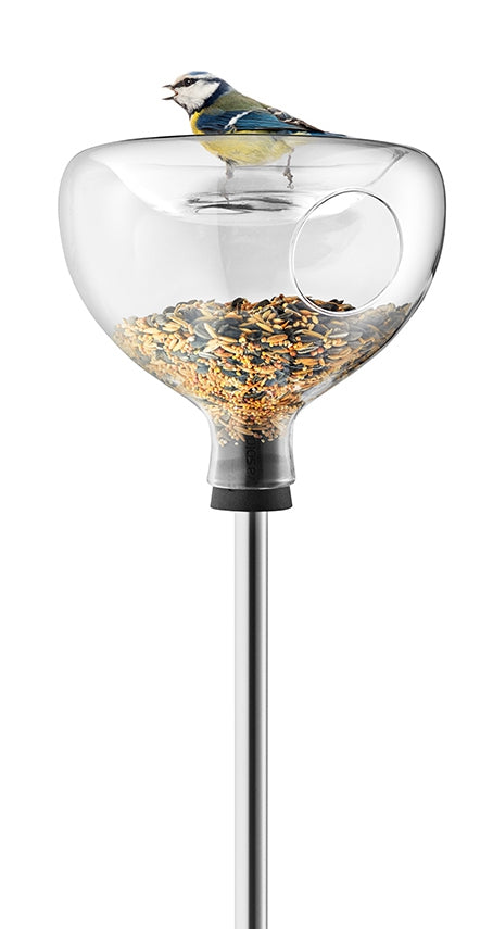 Mangeoire à oiseaux en verre avec bain d'oiseaux
