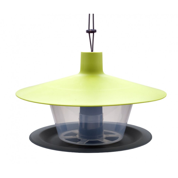 Nourrir Roselin domestique Vert olive