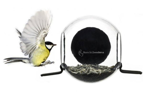 Mangeoire pour fenêtre BirdFeeder – Mangeoire pour fenêtre transparente (15 x 10 x 15 cm)