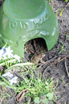Conception Esschert - Maison de crapaud